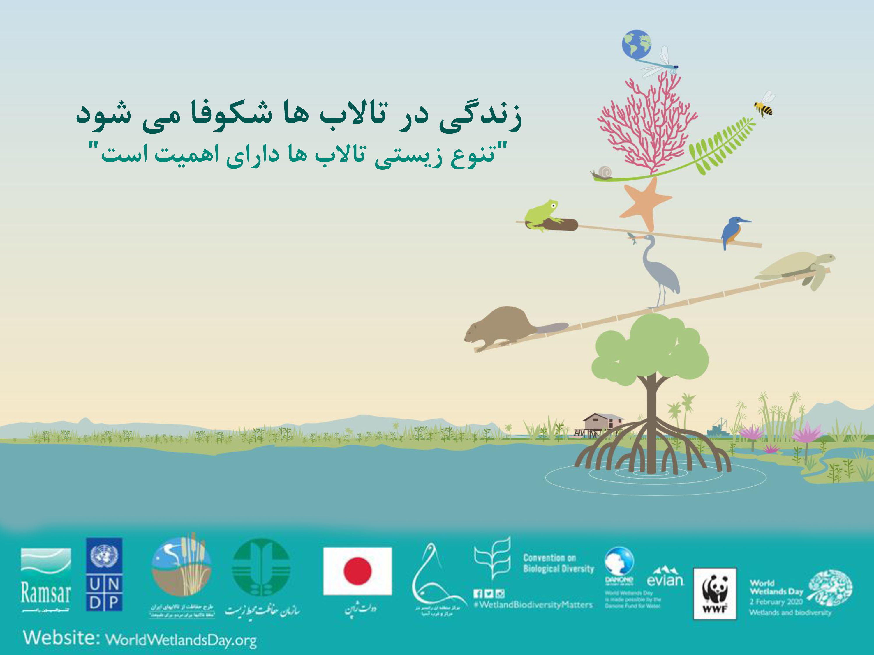 The customs of the international wetlands’ day will be observed by the Department of Environment of Kurdistan province and Zarivar wetland.